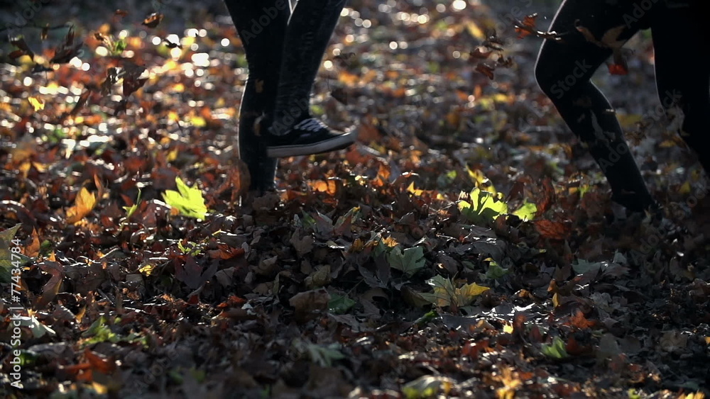 Girls kick autumn leaves one toward another Girls kick autumn leaves one toward another