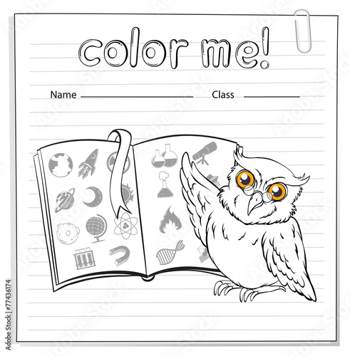 A worksheet showing an owl and a book photo