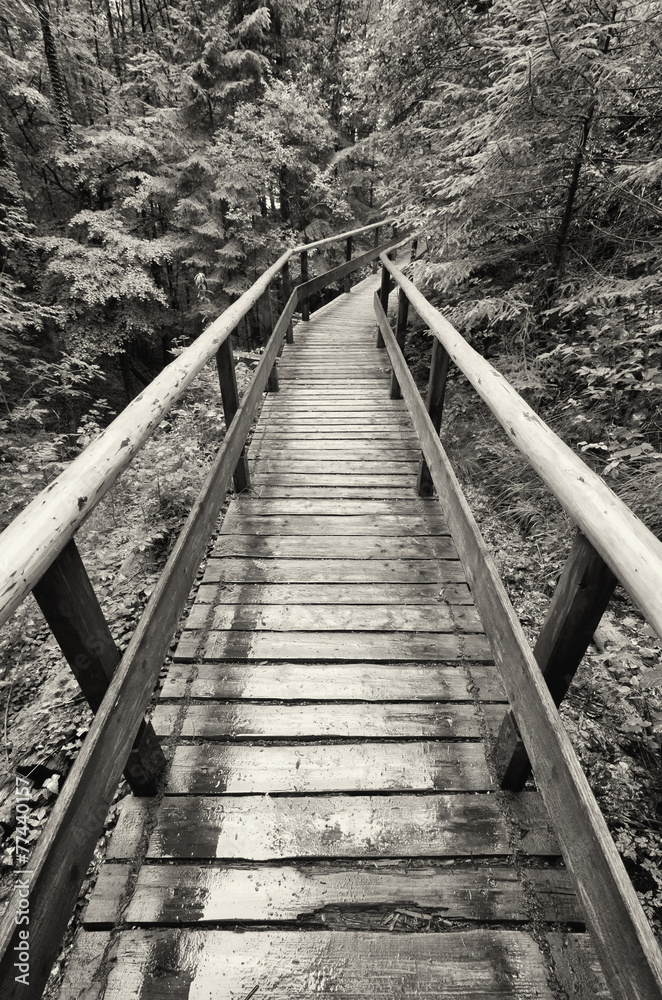 Fototapeta premium footbridge