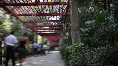 Wallpaper Mural Shot of people walking in park like ghosts Torontodigital.ca