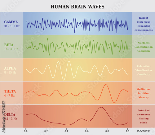 Ondes Cérébrales Humaines Diagramme / Illustration Multicolore photo