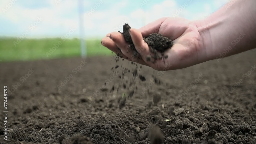 Detail shot of gardener checking the quality of the soil in his garden