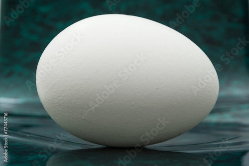 Chicken's egg