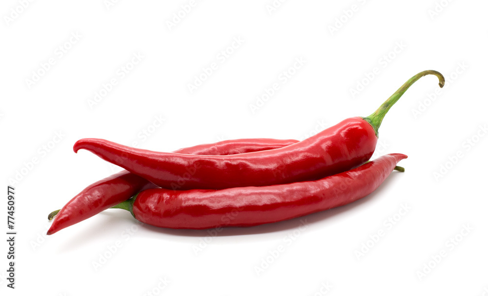 Hot red chili or chilli pepper isolated.