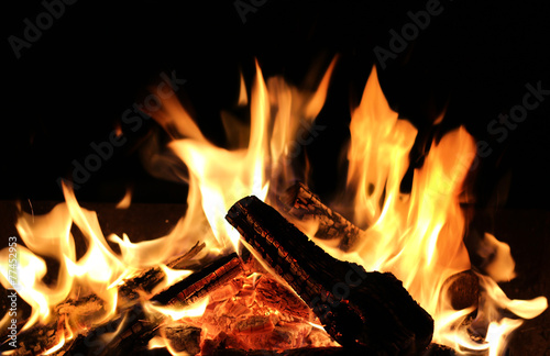 Burning firewood close-up