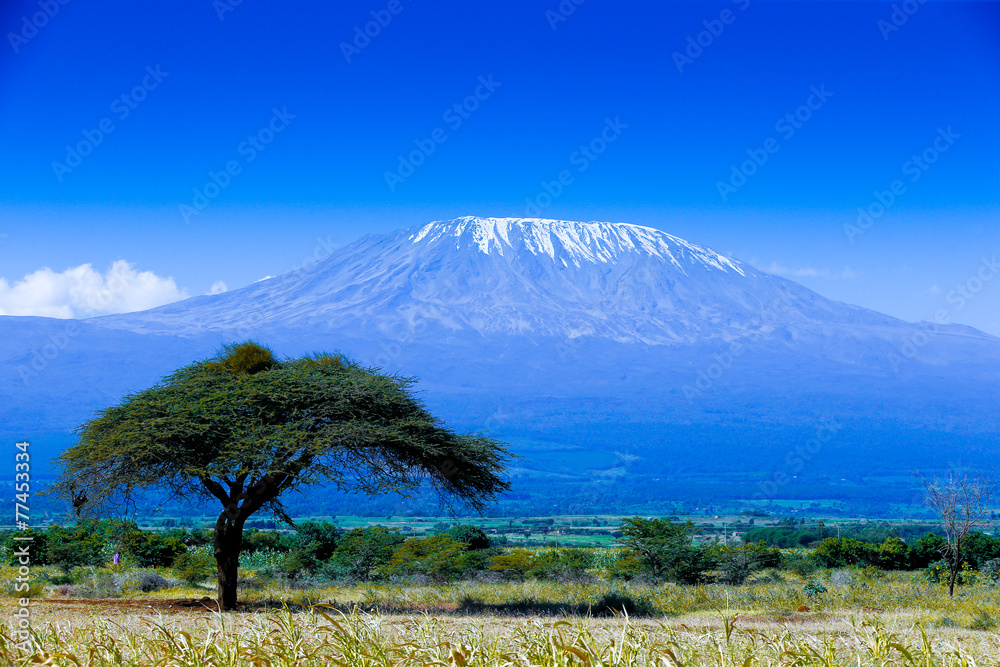 Naklejka premium Krajobraz Kilimandżaro