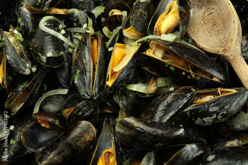 moules