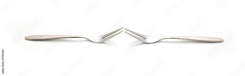 fork fork