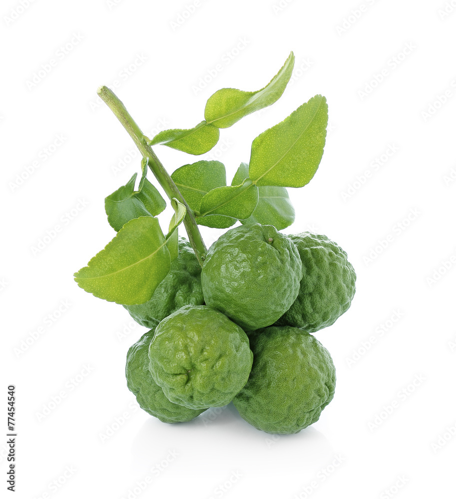 Citrus hystrix, Bergamot fruit, kaffir lime, Leech Lime isola Citrus hystrix, Bergamot fruit, kaffir lime, Leech Lime isola