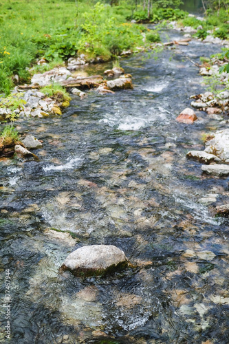 Beautiful Alpine brook with fresh green moss on the stones