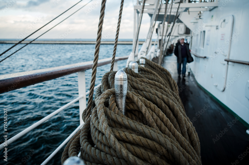 Obraz premium Wilk Morski