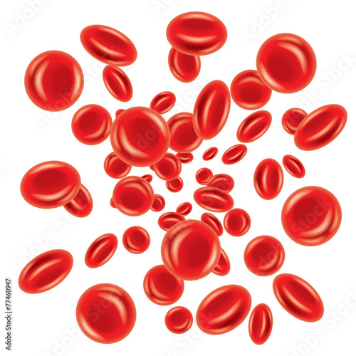 Blood cells isolated on white vector