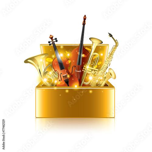 Musical instruments box isolated on white vector