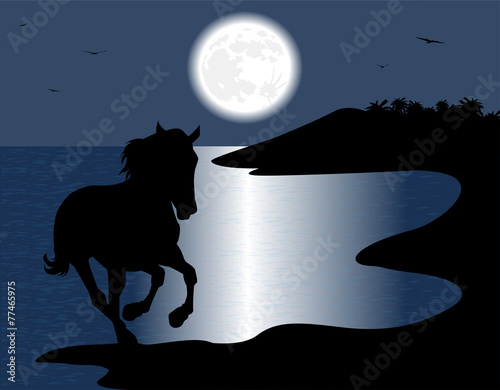 silhouette di cavallo selvaggio sul mare