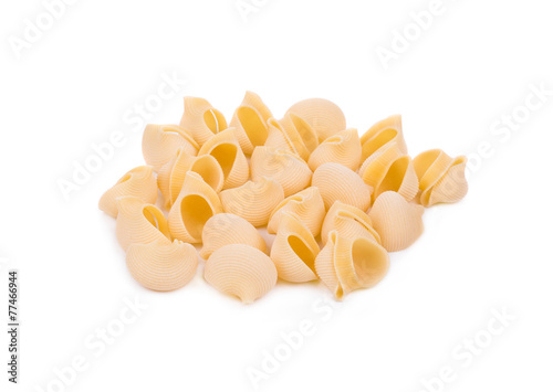 Italian pasta shells