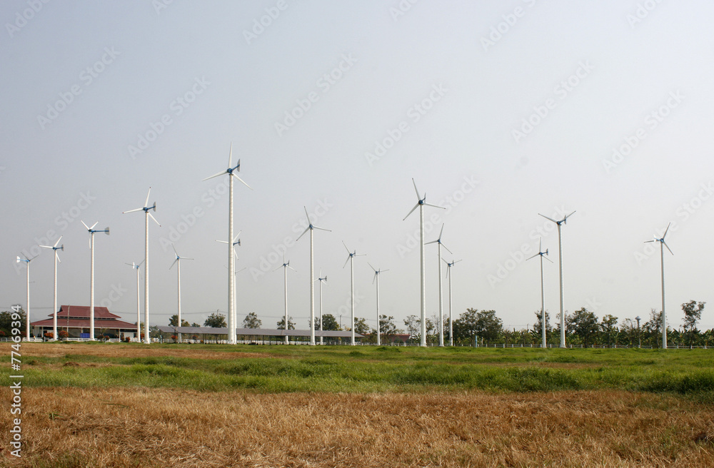 Fototapeta premium Windmills for electric power production
