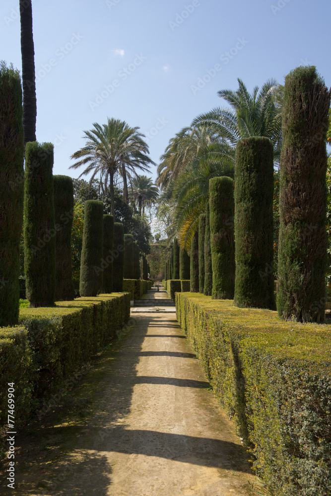 Obraz premium Garden Alcazar Palace