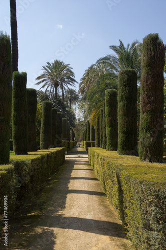 Garden Alcazar Palace