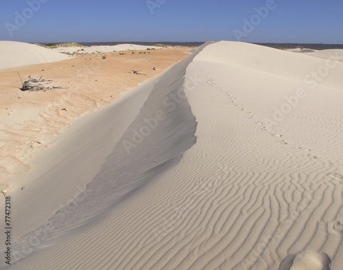 Dunes at Eucla  Nullarbor  Western Australia