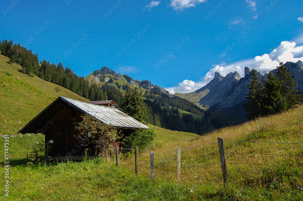 Obraz premium Almhütte