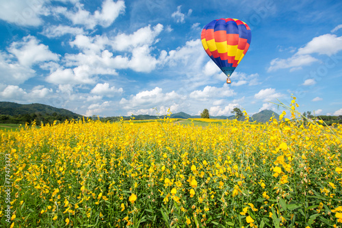 Hot air balloon over yellow flower fields against blue sky