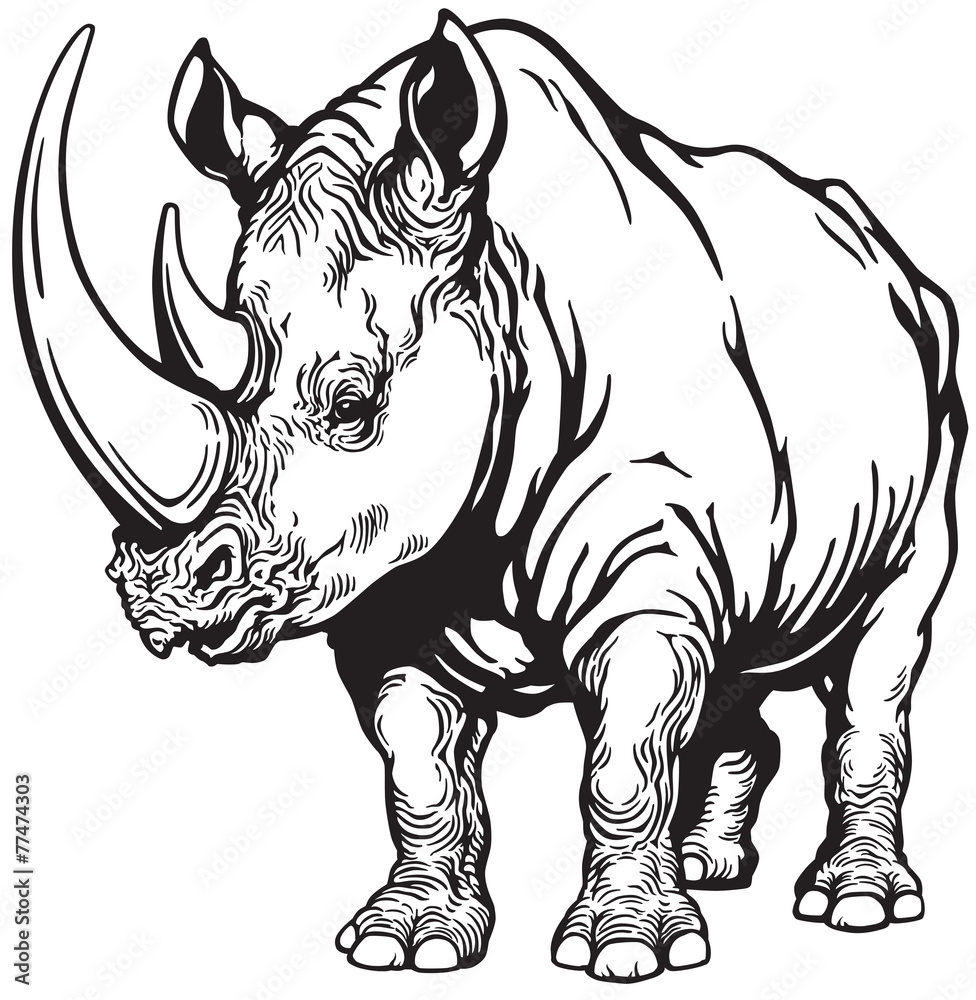 rhinoceros black and white rhinoceros black and white
