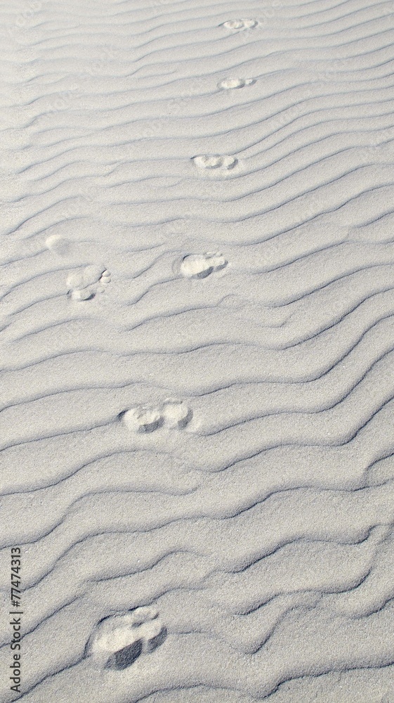 Fototapeta premium Dune at Eucla, Nullarbor, Western Australia