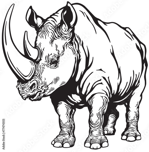 Obraz na plátně rhinoceros black and white