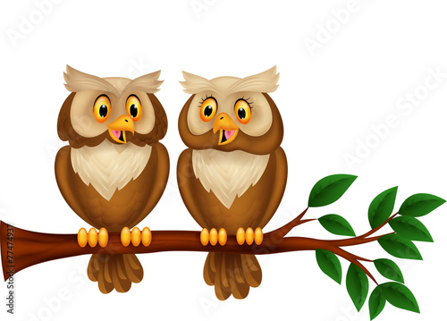 Cartoon couple owl on a branch