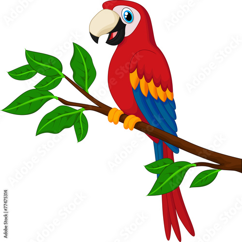 Cartoon red parrot on a branch