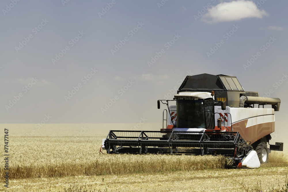 Obraz premium Combine in the field