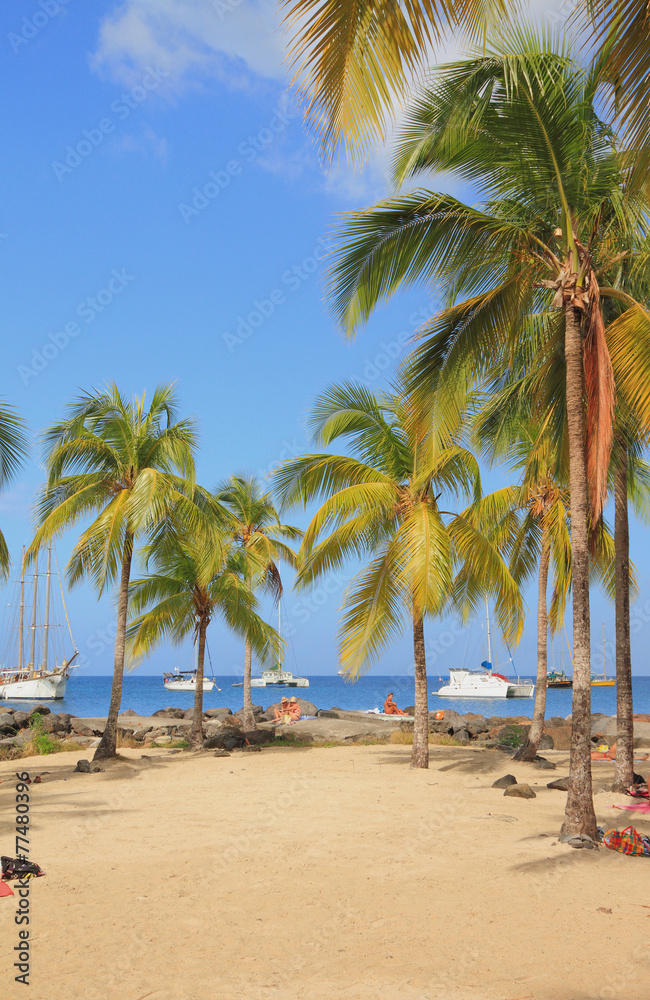 Obraz premium Pointe du Bout beach. Martinique