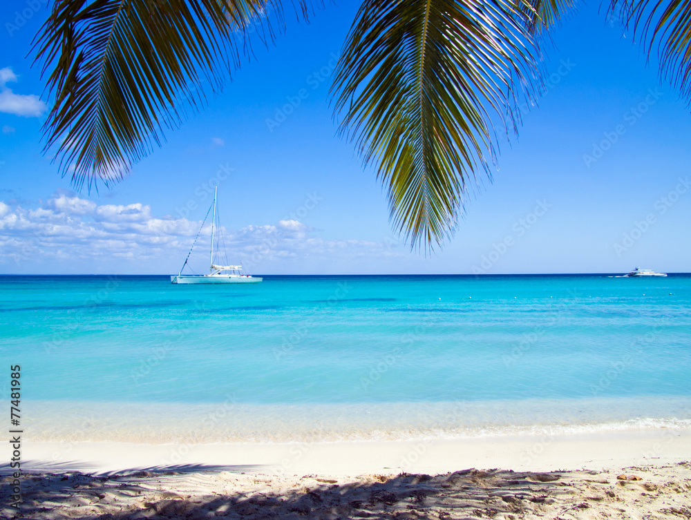 Fototapeta premium tropical sea
