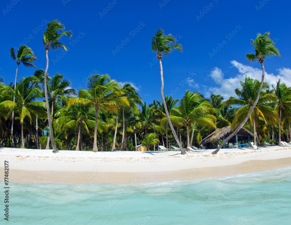 Obraz premium beach