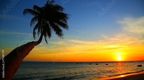tropical beach at sunset