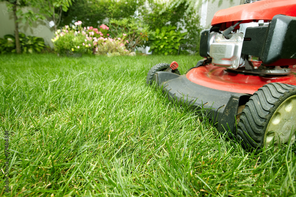 Obraz premium Lawn mower.