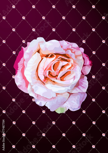 Rosa