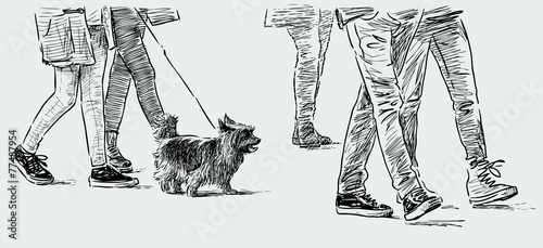 people and lapdog