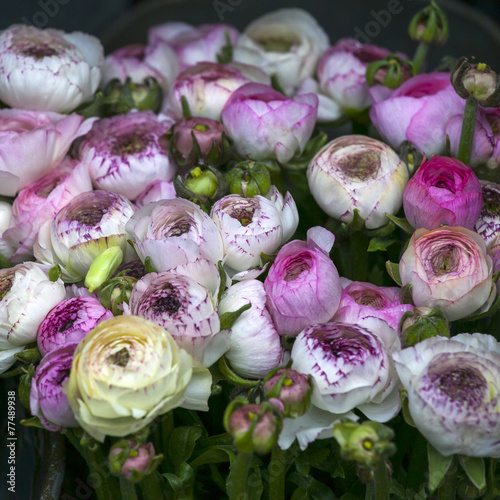 set of pink and blue anemone flowers in vase on table close upse