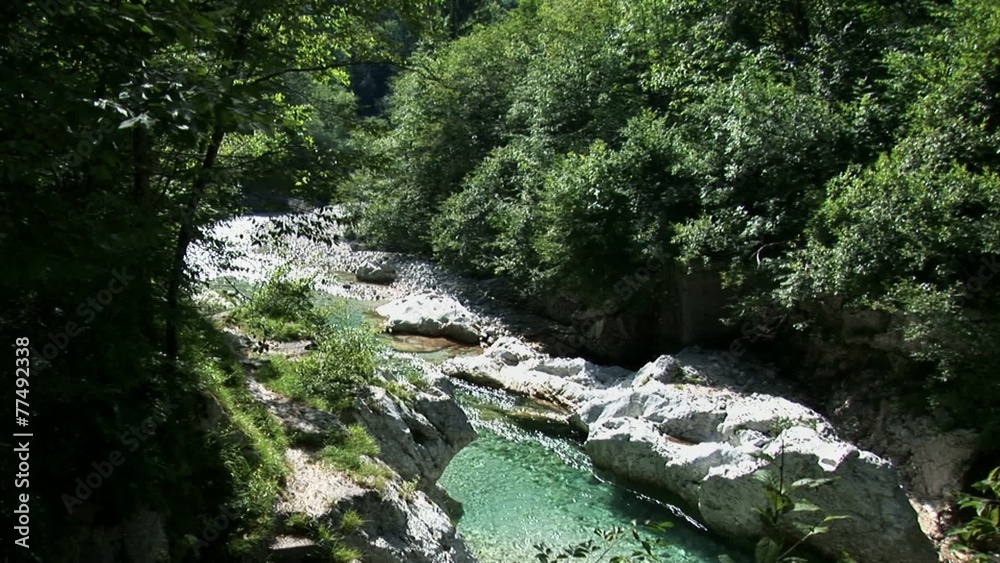 Distant view of a green stream in the forrest Distant view of a green stream in the forrest