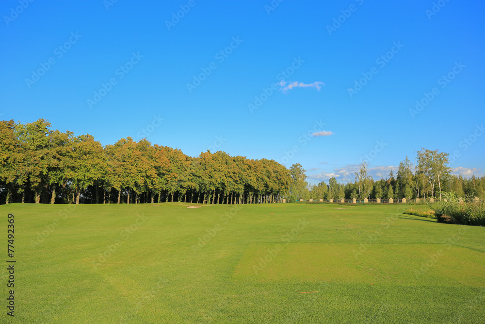 Golf course in Mezhyhirya residence
