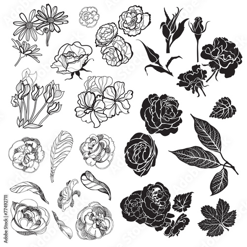 sketches of flowers
