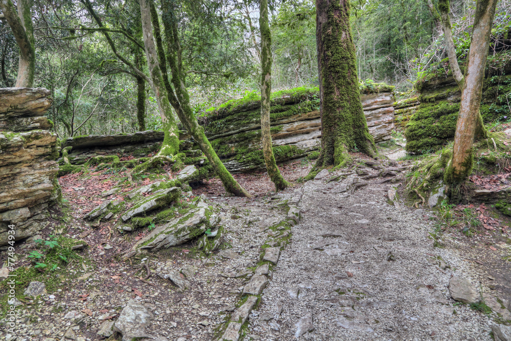 The Maze - tectonic fault in Caucasian biosphere reserve, Sochi The Maze - tectonic fault in Caucasian biosphere reserve, Sochi