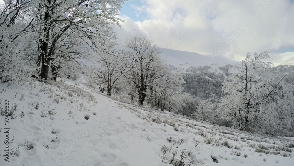 Winter landscape in the mountains, the trees in hoarfrost Winter landscape in the mountains, the trees in hoarfrost