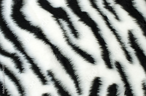 Black and white fur zebra pattern. Animal print as background.