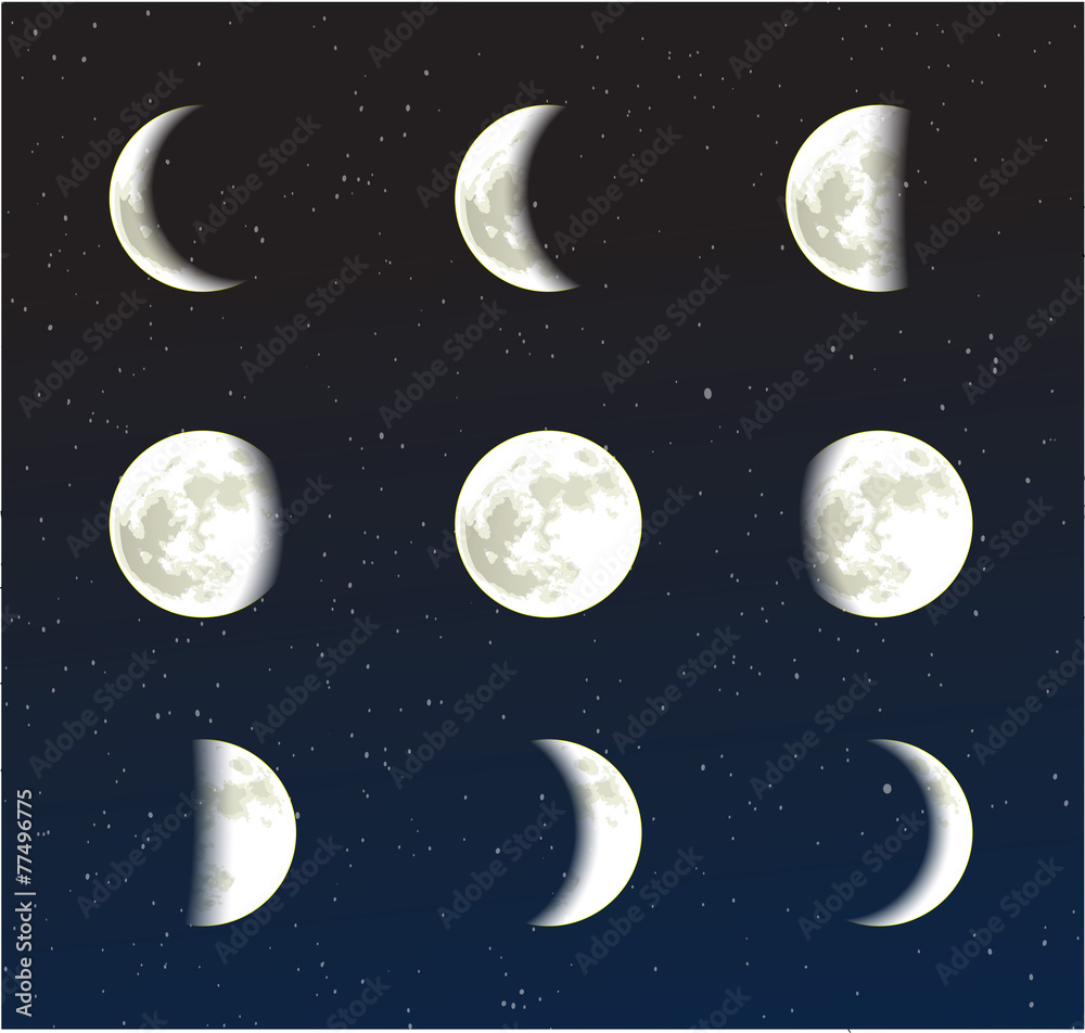 Fototapeta premium Moon phases vector