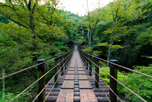 Shiomi Falls Suspension Bridge