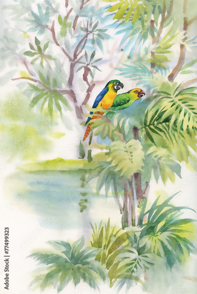 Fototapeta premium Colorful parrots in jungle