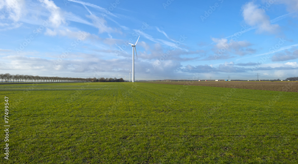 Wind turbine in a meadow Wind turbine in a meadow