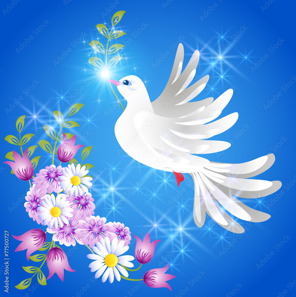 Obraz premium Flying white dove